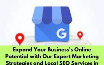 Unlock Local Success with Expert Google My Business Listing Management 
